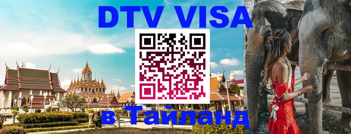 Сколько стоит DTV виза — актуальные цены, оформление даже без документов - Чебоксары 